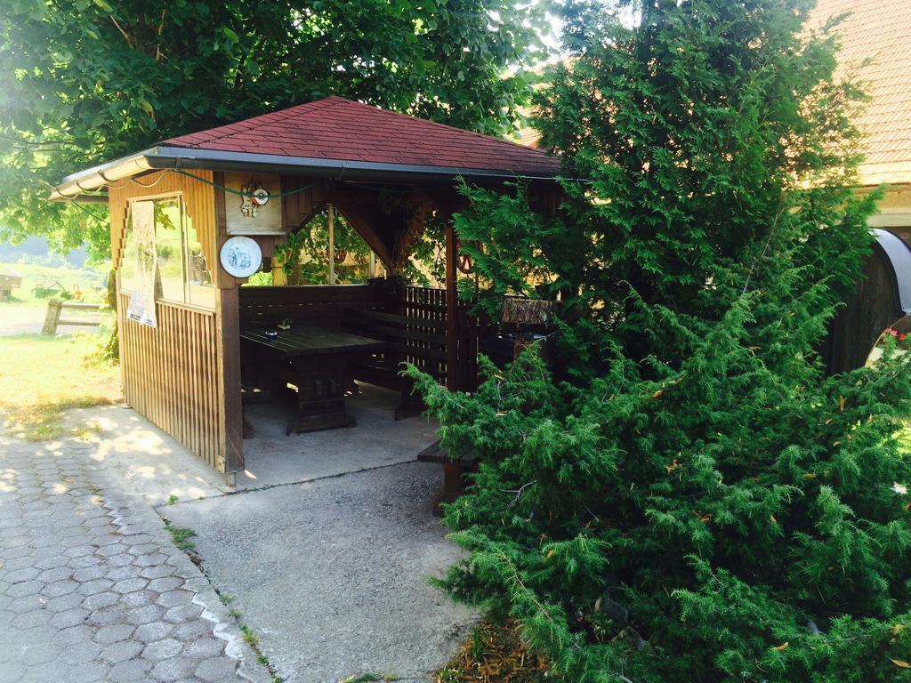 Turisticna Kmetija Toman Villa Gornji Grad Kültér fotó