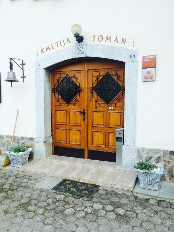 Turisticna Kmetija Toman Villa Gornji Grad Kültér fotó