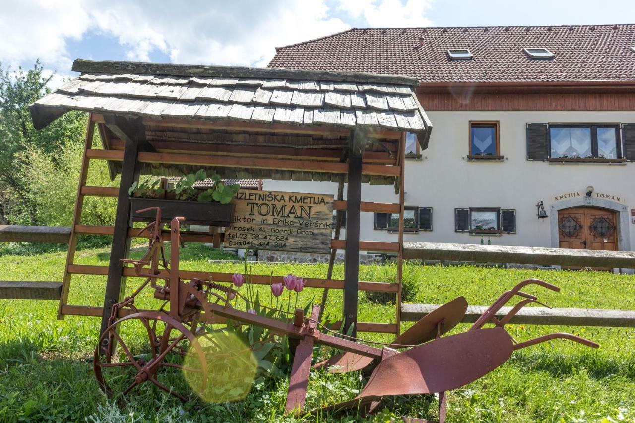 Turisticna Kmetija Toman Villa Gornji Grad Kültér fotó