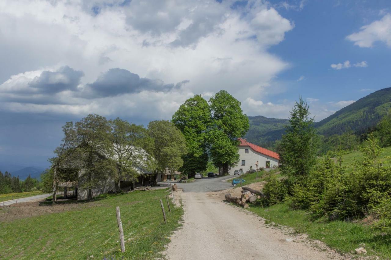 Turisticna Kmetija Toman Villa Gornji Grad Kültér fotó