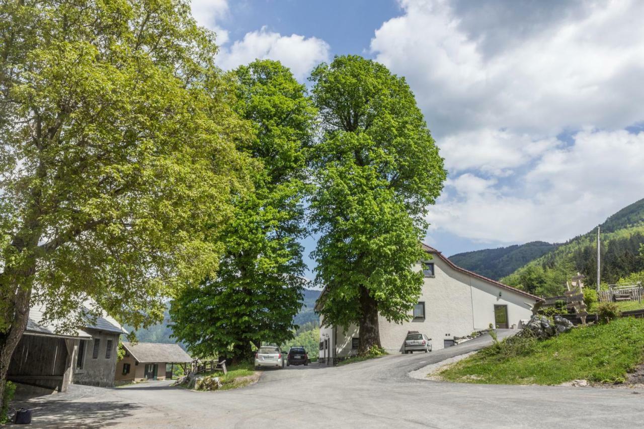 Turisticna Kmetija Toman Villa Gornji Grad Kültér fotó