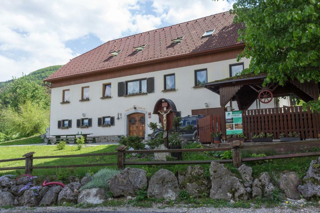 Turisticna Kmetija Toman Villa Gornji Grad Kültér fotó