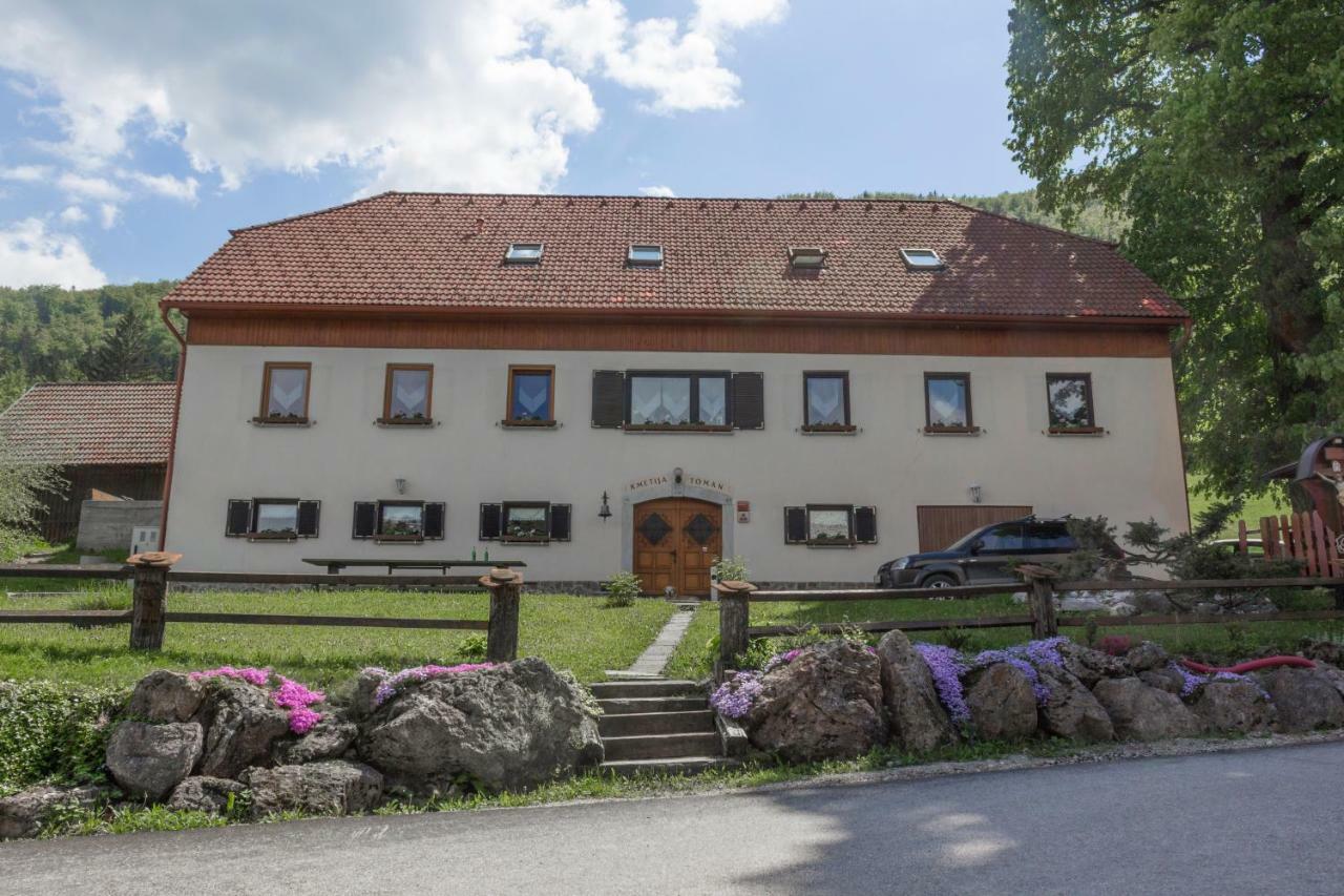 Turisticna Kmetija Toman Villa Gornji Grad Kültér fotó